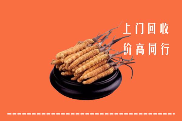 云霄县高价冬虫夏草回收多少钱每克