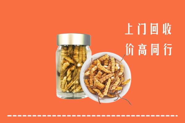 高价求购：云霄县回收冬虫夏草