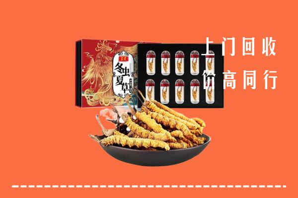 收购行情：云霄县回收虫草